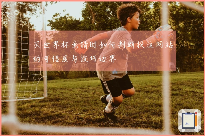 买世界杯竞猜时如何判断投注网站的可信度与技巧边界
