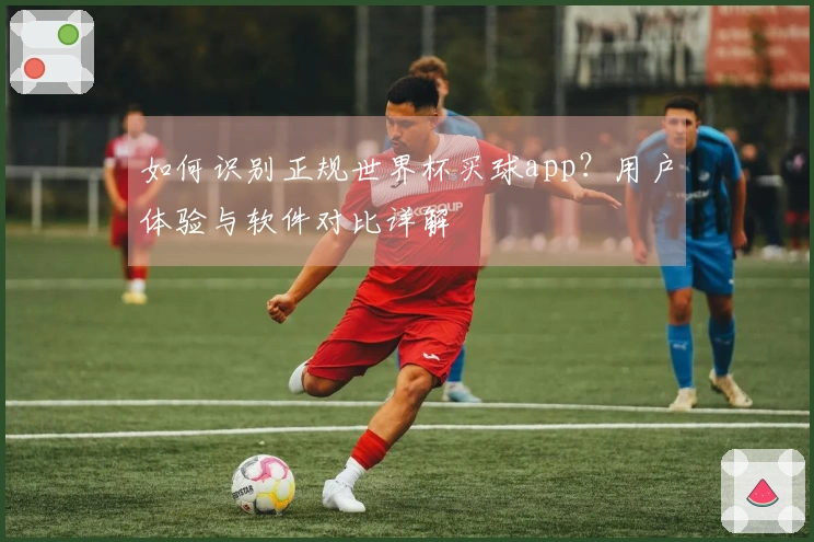 如何识别正规世界杯买球app？用户体验与软件对比详解