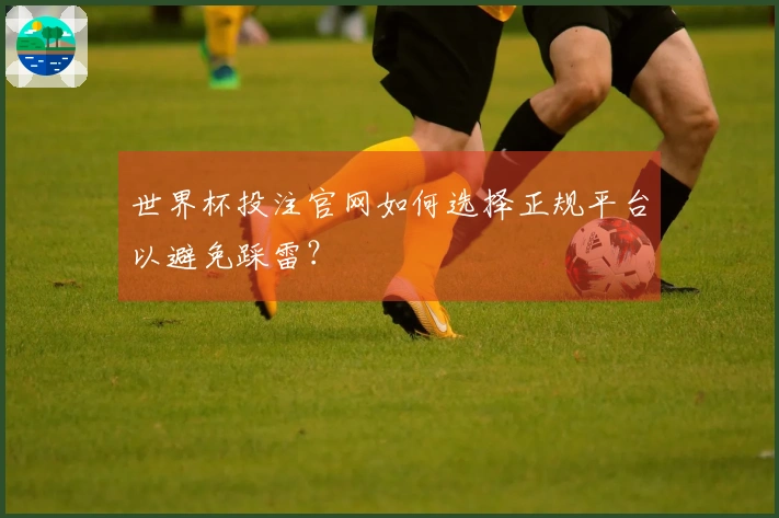 世界杯投注官网如何选择正规平台以避免踩雷？