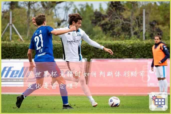 买世界杯竞猜时如何判断体彩赔率变化是否合理?