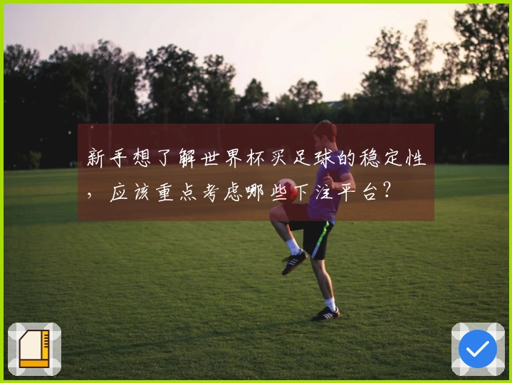 新手想了解世界杯买足球的稳定性，应该重点考虑哪些下注平台？