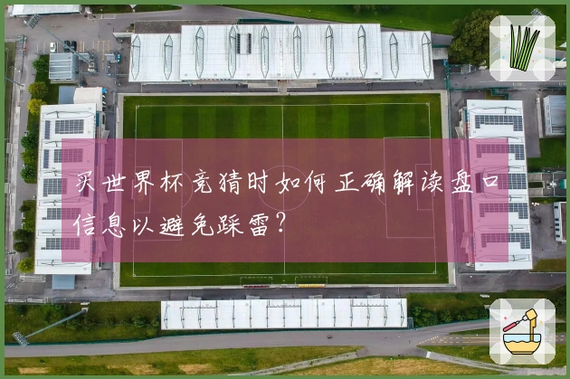 买世界杯竞猜时如何正确解读盘口信息以避免踩雷？