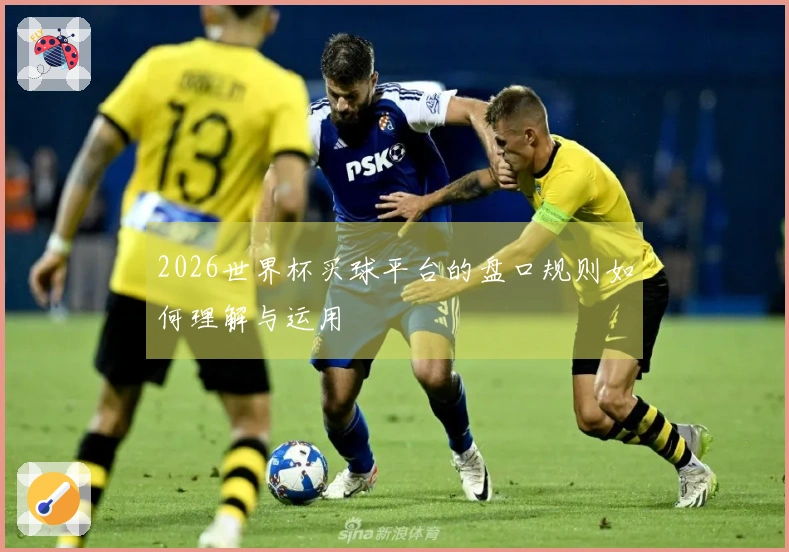 2026世界杯买球平台的盘口规则如何理解与运用