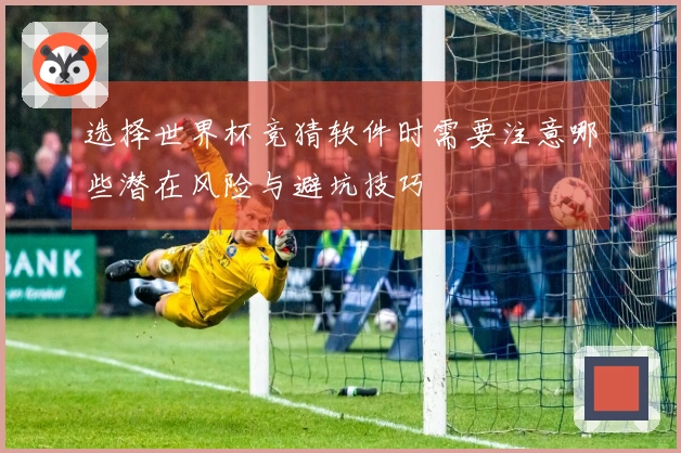 选择世界杯竞猜软件时需要注意哪些潜在风险与避坑技巧