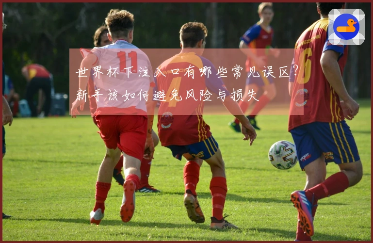 世界杯下注入口有哪些常见误区？新手该如何避免风险与损失