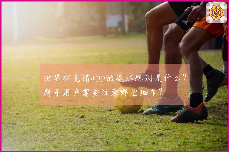 世界杯竞猜app的返水规则是什么？新手用户需要注意哪些细节？