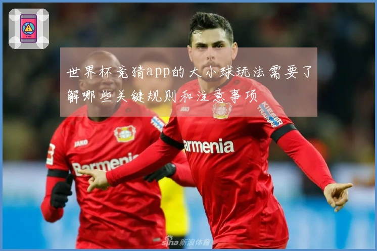 世界杯竞猜app的大小球玩法需要了解哪些关键规则和注意事项