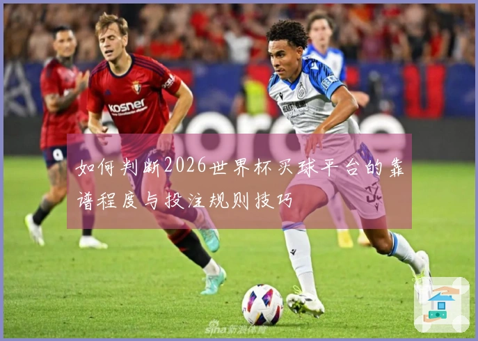 如何判断2026世界杯买球平台的靠谱程度与投注规则技巧