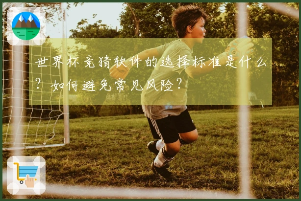 世界杯竞猜软件的选择标准是什么？如何避免常见风险？
