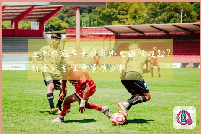 世界杯冠军竞猜有哪些避坑经验？新手必看注意事项分析