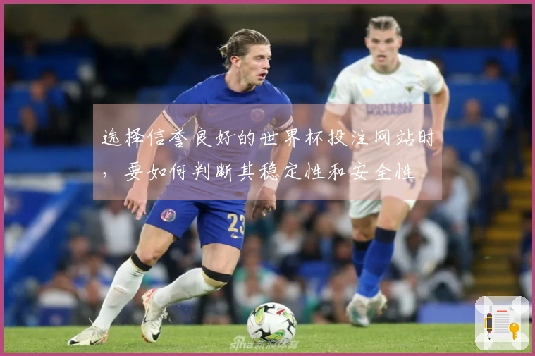 选择信誉良好的世界杯投注网站时，要如何判断其稳定性和安全性