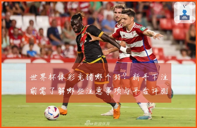世界杯体彩竞猜哪个好?新手下注前需了解哪些注意事项与平台评测
